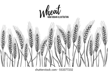 Hand drawn vector illustration - Wheat. Bread design template. Perfect for menu, cards, posters, prints, packaging