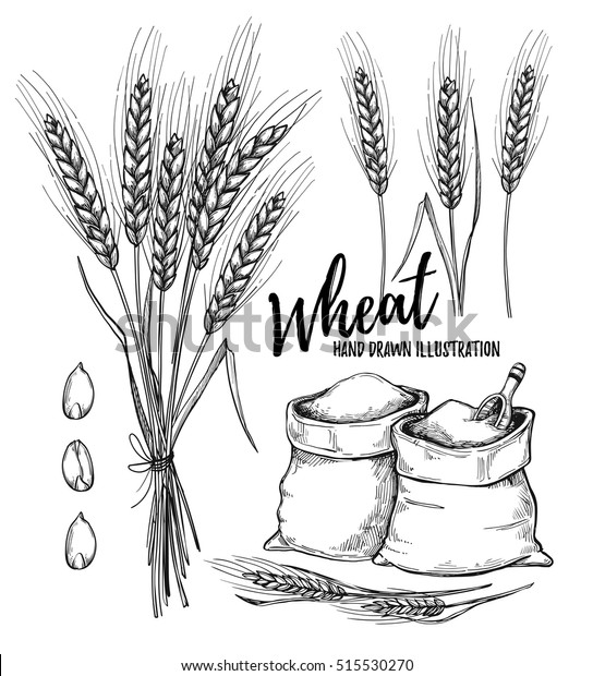 手描きのベクターイラスト 小麦 部族のデザインエレメント 小麦粉と穀類の茎を入れた袋 招待状 グリーティングカード ポスター 印刷に最適 のベクター画像素材 ロイヤリティフリー