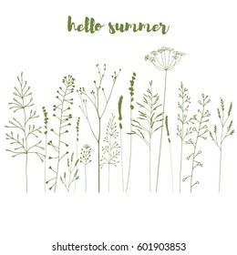 Hand drawn vector illustration of wild flowers, herbs and grasses.Thin delicate lines silhouettes of  lavender and other plants in  green .Isolated on white background 