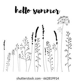 Hand drawn vector illustration of wild flowers, herbs and grasses. Thin delicate lines silhouettes of different plants - shepherd's purse, lavender, dill or fennel.
