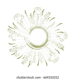 Hand drawn vector illustration of wild flowers, herbs and grasses. Thin delicate lines silhouettes of different plants - shepherd's purse, lavender, dill or fennel.
