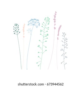 Hand drawn vector illustration of wild flowers, herbs and grasses. Thin delicate lines silhouettes of different plants - shepherd's purse, lavender, dill or fennel.