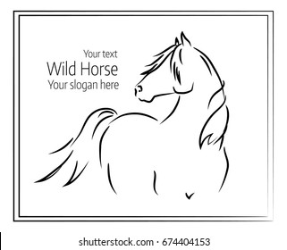 Hand drawn vector illustration of wild horse