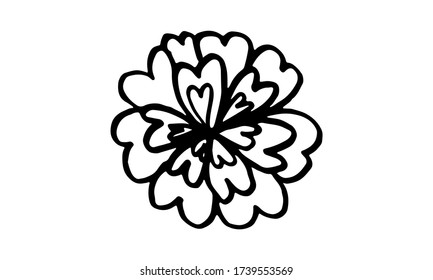 Hand drawn vector illustration of wildflowers. Doodle floral element. Spring and summer symbol. Contour otline drawing of simple black twig