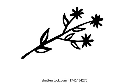 Hand drawn vector illustration of wildflowers. Doodle floral element. Spring and summer symbol. Contour otline drawing of simple black twig