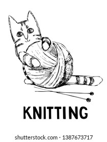 Hand drawn vector illustration of yarn,  knitting needles and a cute kitten