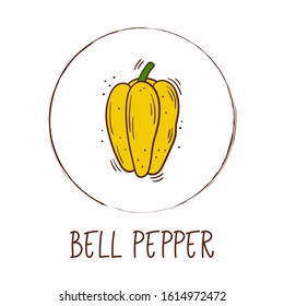 Hand drawn vector illustration of yellow bell pepper with round frame and inscription - Vegetable icon isolated