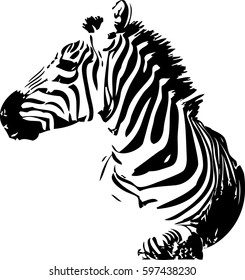 32,713 Zebra and horse Images, Stock Photos & Vectors | Shutterstock