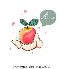 Hand drawn vector illustration,Apple vector.Design for package, card.Apple Vector background.fresh fruit 