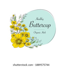 Hand drawn vector illustration.buttercup flower vector.Design for package Vector floral background with hand-drawn buttercup flowers.