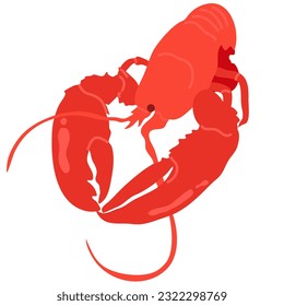 hand drawn vector illustration,isolated red lobster on white background.