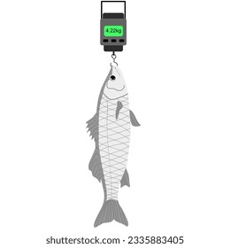 hand drawn vector illustration,isolated sea bass on  digital fish scale on white background.	