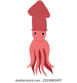 hand drawn vector illustration,isolated squid on white background.	