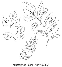 Hand Drawn Vector Illustrations Of Abstract Set of leaves Isolated on White. Hand Drawn Sketch of a leaves.