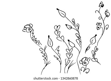 Hand Drawn Vector Illustrations Of Abstract Set of Flowers Isolated on White. Hand Drawn Sketch of a Flowers