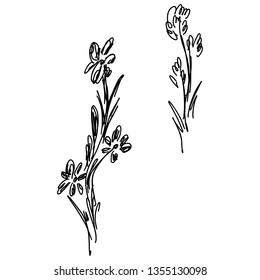 Hand Drawn Vector Illustrations Of Abstract Set of Flowers Isolated on White. Hand Drawn Sketch of a Flowers.