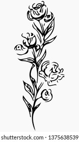 Hand Drawn Vector Illustrations Of Abstract Peony Flower Isolated on Gray. Floral Design Elements For Invitations, Greeting Cards, Posters, Blogs. Hand Drawn Sketch of a Flowers