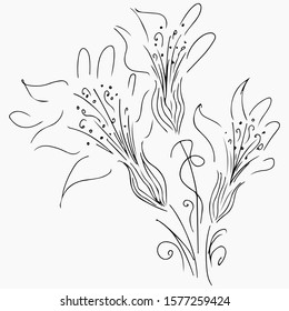 Hand Drawn Vector Illustrations Of Abstract Set of Flowers Isolated on Gray. Floral Design Elements For Invitations, Greeting Cards, Posters, Blogs. Hand Drawn Sketch of a Flowers.