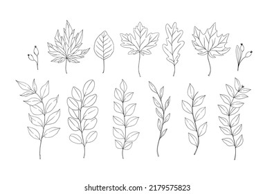 Hand drawn vector illustrations. Botanical forest branches and fall leaves. Floral design elements. Linear Tattoo. Perfect for wedding invitations, greeting cards, blogs, posters