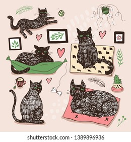 Hand drawn vector illustrations of cat characters set. Sketch style.