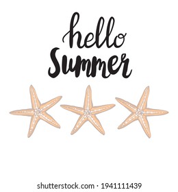 Hand drawn vector illustrations - collection of seashells. Marine set. Perfect for invitations, greeting cards, posters, prints, banners, flyers etc