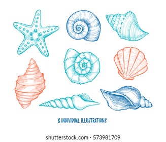 Hand drawn vector illustrations - collection of seashells.  Marine set. Perfect for invitations, greeting cards, posters, prints, banners, flyers etc