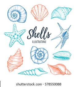 Hand drawn vector illustrations - collection of seashells.  Marine set. Perfect for invitations, greeting cards, posters, prints, banners, flyers 