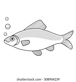 Hand Drawn vector Illustrations of fish. Vector illustration. 