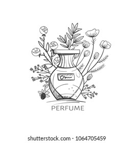 Hand drawn vector illustrations - french perfume and flowers. Outline design elements.