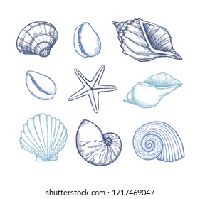 Hand drawn vector illustrations. Marine background with seashells. Collection of shell, sink and starfish. Perfect for invitations, fabric, textile, linens, posters, prints, banners 