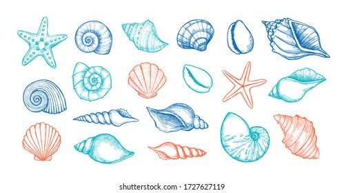 Hand drawn vector illustrations. Marine background with seashells. Collection of shell, sink and starfish. Perfect for invitations, fabric, textile, linens, posters, prints, banners 