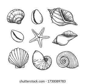 Hand drawn vector illustrations. Marine background with seashells. Collection of shell, sink and starfish. Perfect for invitations, fabric, textile, linens, posters, prints, banners 