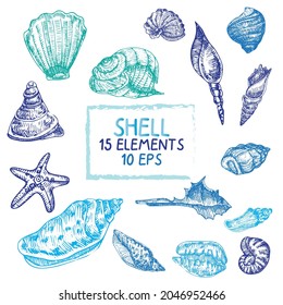 Hand drawn vector illustrations. Marine background with seashells. Collection of shell, sink and starfish. Perfect for invitations, fabric, textile, linens, posters, prints, banners