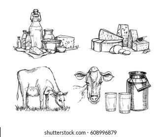 Hand drawn vector illustrations. Milk farm. Cheese set of mozzarella, gouda, parmesan, maasdam. Design elements in sketch style. 