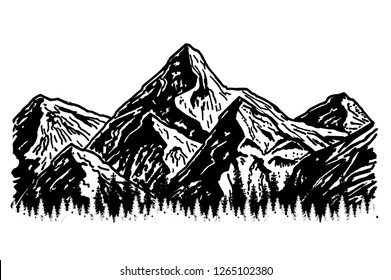 Hand drawn vector illustrations the mountains with a coniferous forest on them in engraving style. Sketch. Mountain landscape with forest silhouette.