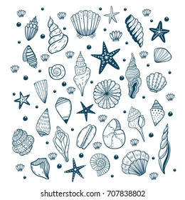 Hand drawn vector illustrations of seashells. Marine background. 