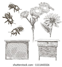 Hand drawn vector illustrations set with bees, flowers, hive and honeycomb.