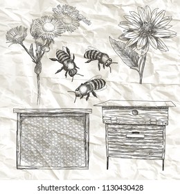 Hand drawn vector illustrations set with bees, flowers, hive and honeycomb.