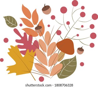 Hand drawn vector illustrations. Set of fall leaves. Bunch Forest design elements. Hello Autumn! 