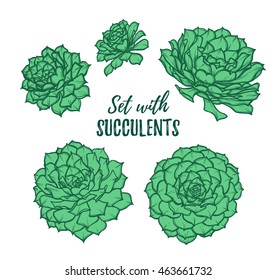 Hand drawn vector illustrations - set with succulents. Sketch on white background. Perfect for Wedding invitation, greeting card, poscard, poster, textile etc.