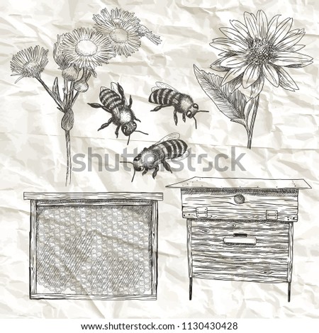 Hand drawn vector illustrations set with bees, flowers, hive and honeycomb.