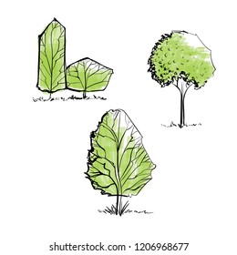 Hand drawn vector illustrations of trees.