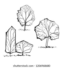 Hand drawn vector illustrations of trees.