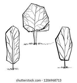 Hand drawn vector illustrations of trees.