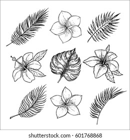 Hand drawn vector illustrations - tropical flowers and palm branches. Summer time. Perfect for invitations, greeting cards, blogs, posters and more.