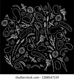 Hand drawn vector illustrations of vegetables