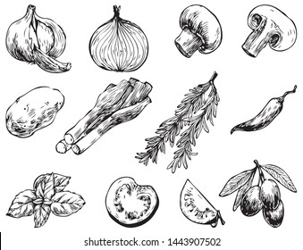 Hand drawn vector illustrations.Ingredients for cooking: olives, hot peppers, tomato, onion, garlic, ets. Perfect for menu, cards, blogs, banners. Illustration in sketch style
