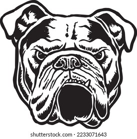 Hand drawn vector image of an angry bulldog's head and face. Black and white.