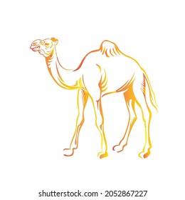 Hand drawn vector image of Camel  . Vector illustration isolated on white background