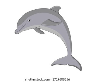 Hand drawn vector image of Dolphin on white background. Isolate the image from background and use for children alphabet kearning book. Alphabet D learning picture. 
